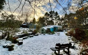 Original Garden in snow photo Will Russell