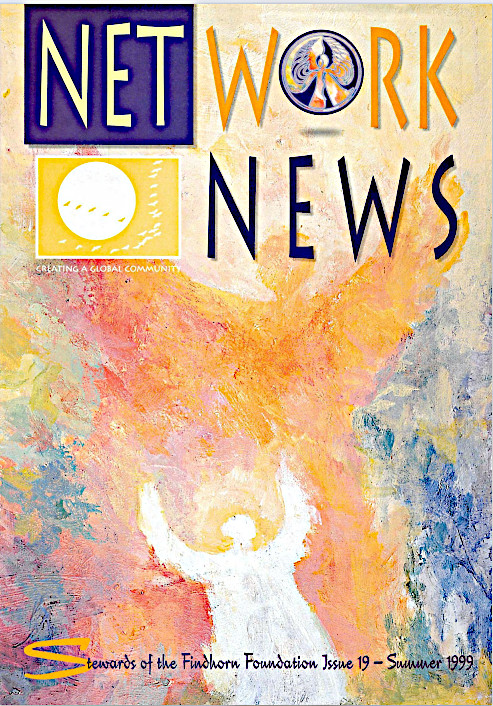 network news 19