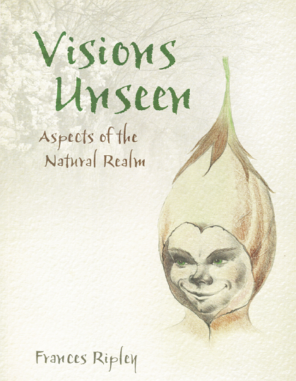 Visions Unseen front cover